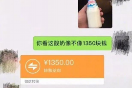 广水为什么选择专业追讨公司来处理您的债务纠纷？