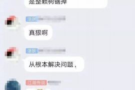 广水专业催债公司的市场需求和前景分析